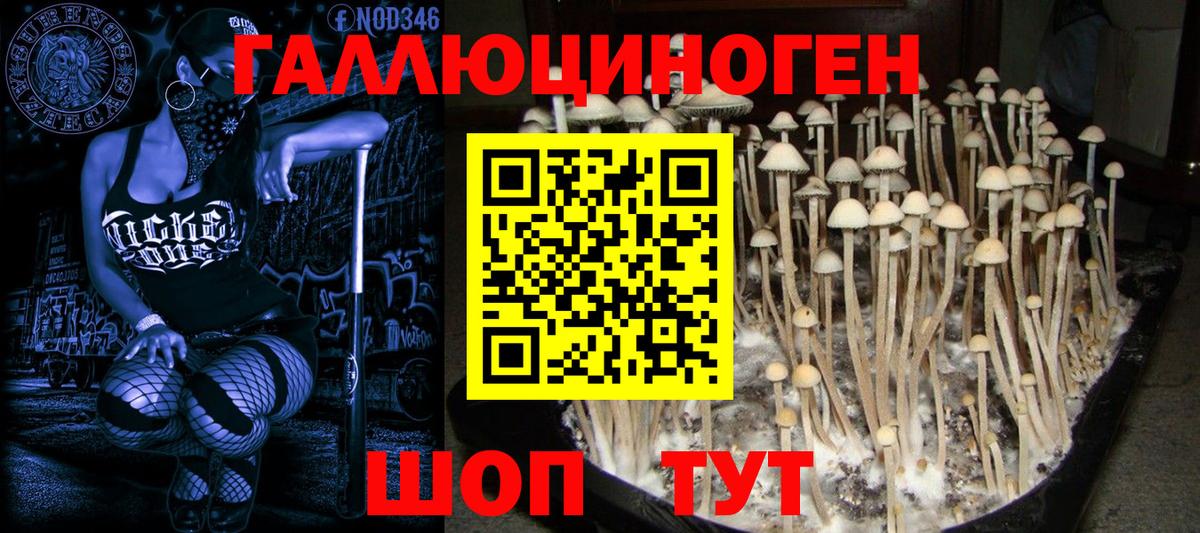МАРИХУАНА Выборг