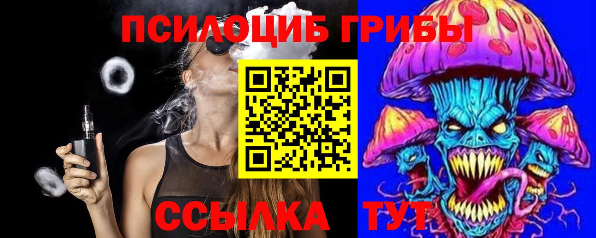 Выборг  Псилоцибиновые грибы MAGIC MUSHROOMS  Вход с VPN 